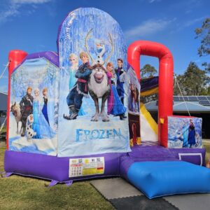 FROZEN BOUNCE HOUSE